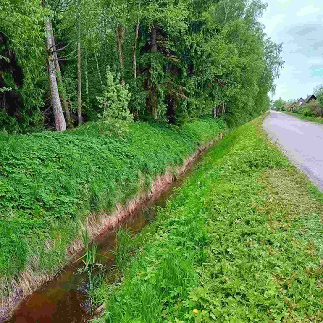 Narva kuivenduskraav