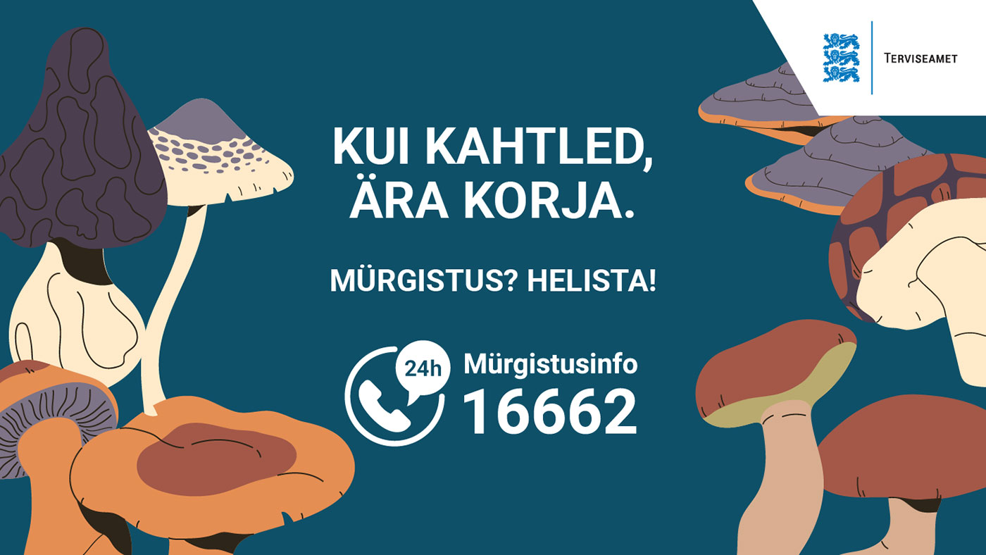 Seened - kui kahtled, ära korja!