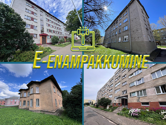 e-enampakkumine_nov2025.png