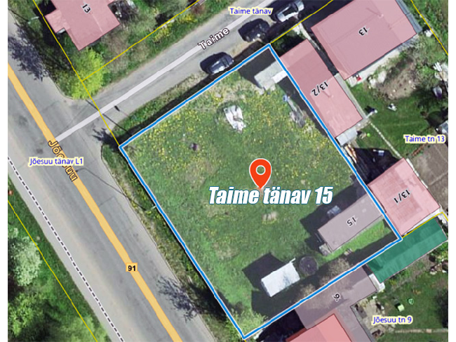 Taime_tn15.png